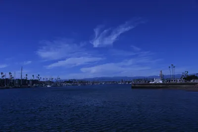 DSC_0810 (Large).JPG